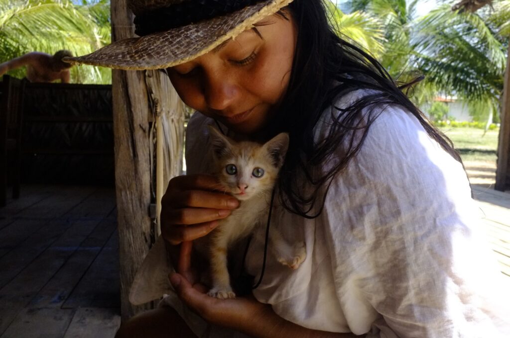 Sri Lanka Yoga Retreat with Melissa Adventure - Splits Therapy - Ayurveda - Beach - Culture Sri Lanka Melissa Fin Kitten